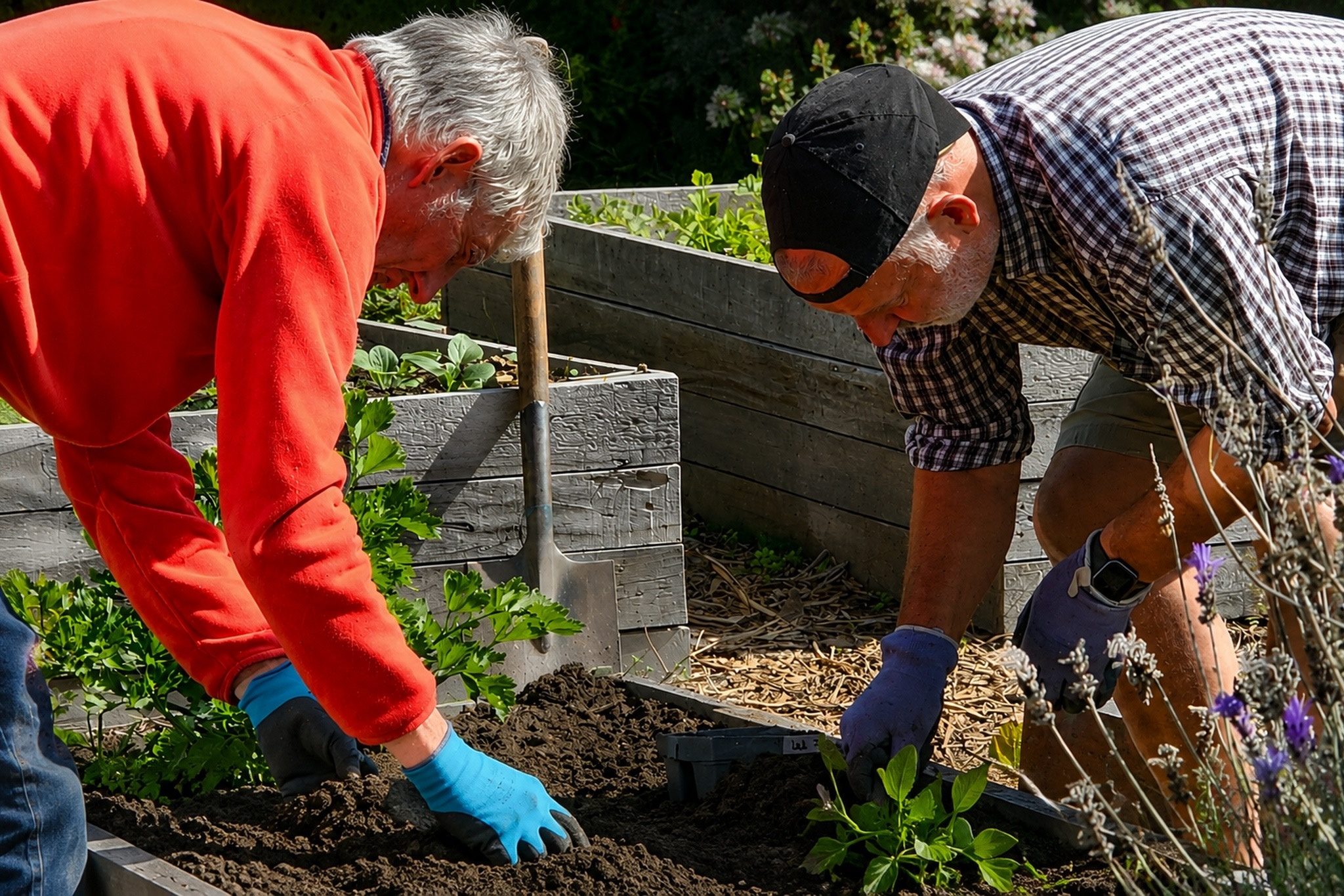 gardening%20in%20the%20beds